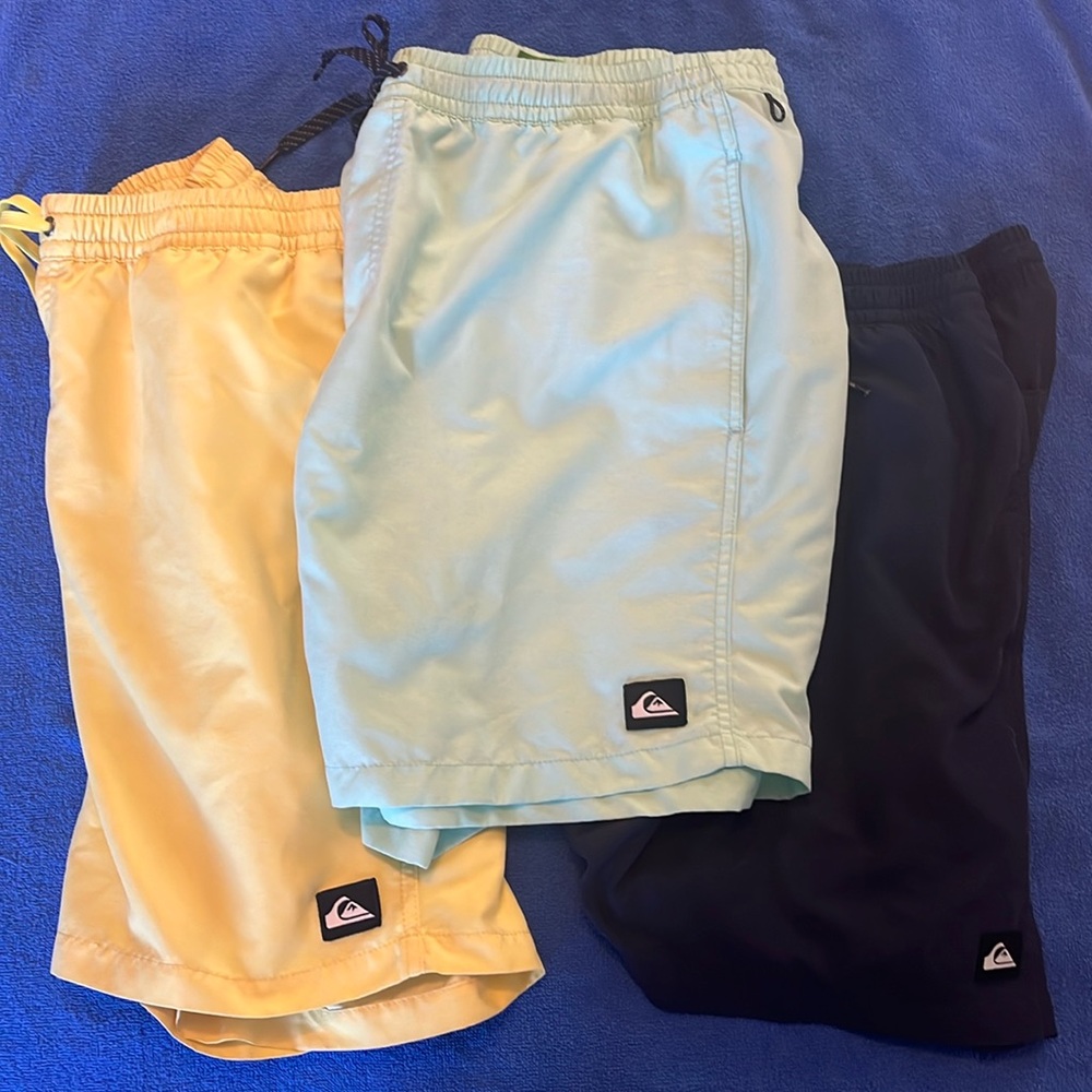 Quiksilver Everyday Volley / Swim Shorts - XL (Light Green)